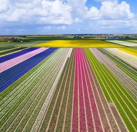 Sandy Feet Retreat *