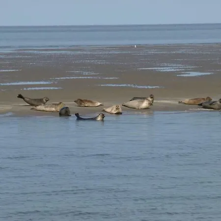 Sandy Feet Retreat 샬레 *