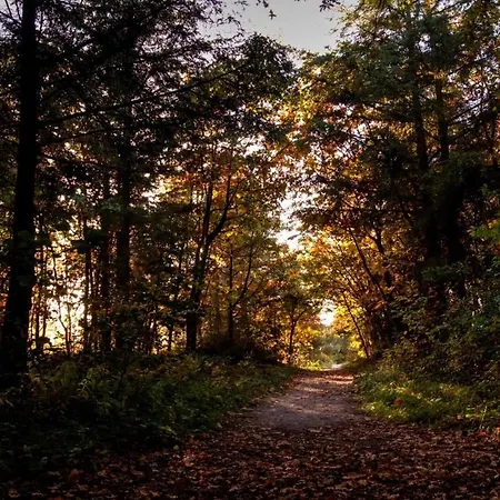 Sandy Feet Retreat 샬레 페턴