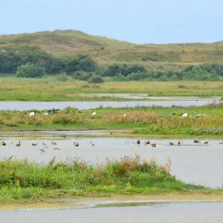 Horská chata Sandy Feet Retreat *
