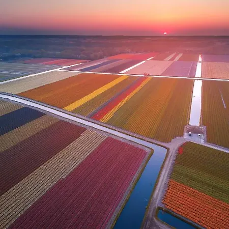 Sandy Feet Retreat 샬레