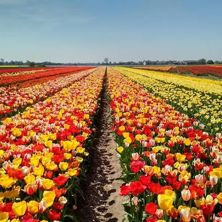 샬레 Sandy Feet Retreat *