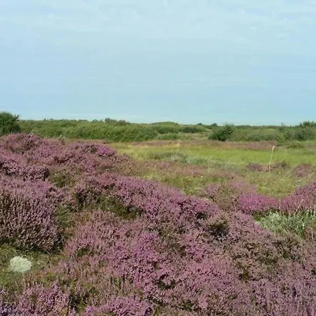 Sandy Feet Retreat 샬레 페턴