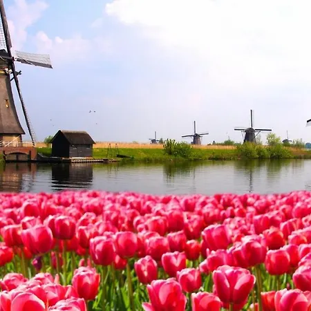 샬레 Sandy Feet Retreat